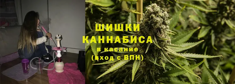 Бошки Шишки гибрид  Качканар 